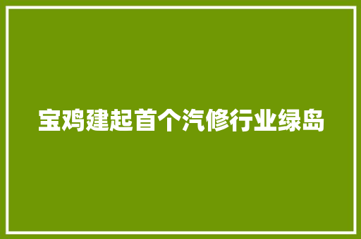 宝鸡建起首个汽修行业绿岛