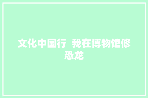 文化中国行  我在博物馆修恐龙
