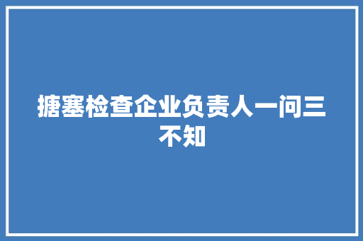 搪塞检查企业负责人一问三不知