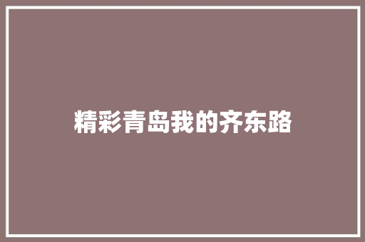 精彩青岛我的齐东路