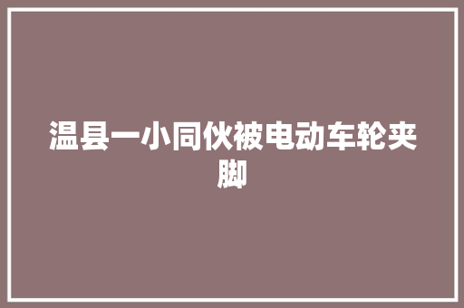 温县一小同伙被电动车轮夹脚