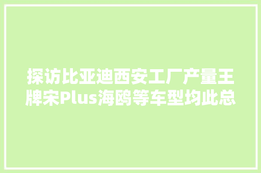 探访比亚迪西安工厂产量王牌宋Plus海鸥等车型均此总装