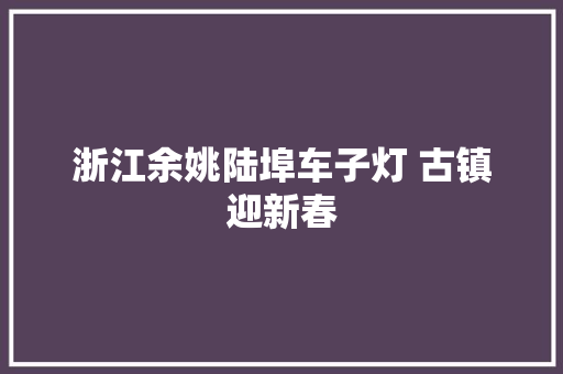 浙江余姚陆埠车子灯 古镇迎新春