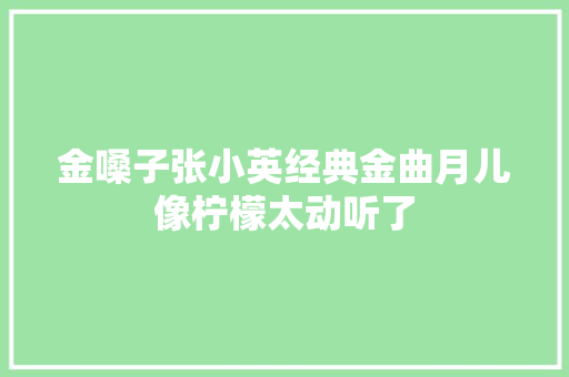 金嗓子张小英经典金曲月儿像柠檬太动听了