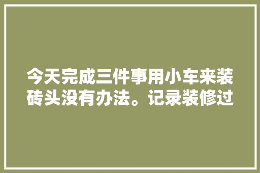 今天完成三件事用小车来装砖头没有办法。记录装修过程