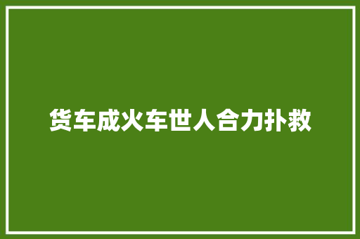 货车成火车世人合力扑救