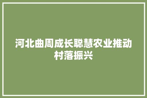 河北曲周成长聪慧农业推动村落振兴 汽车知识