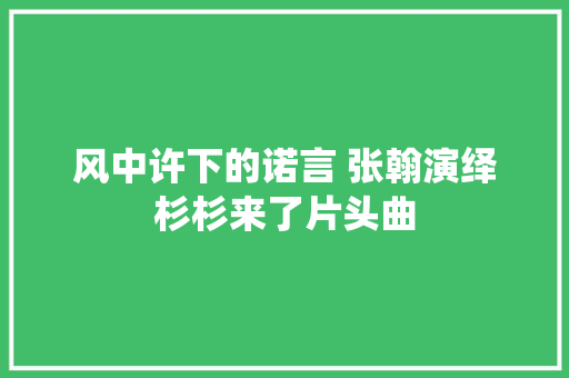 风中许下的诺言 张翰演绎杉杉来了片头曲