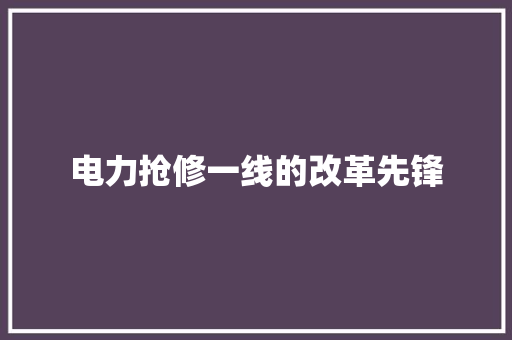电力抢修一线的改革先锋