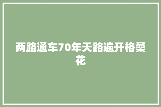 两路通车70年天路遍开格桑花