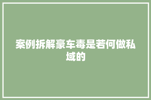 案例拆解豪车毒是若何做私域的
