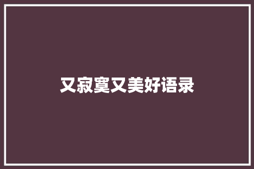 又寂寞又美好语录