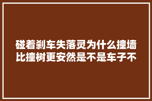 碰着刹车失落灵为什么撞墙比撞树更安然是不是车子不足结实