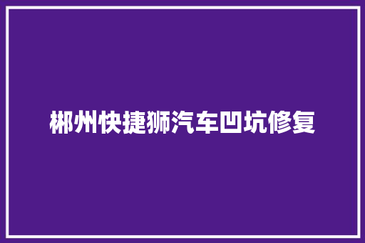 郴州快捷狮汽车凹坑修复