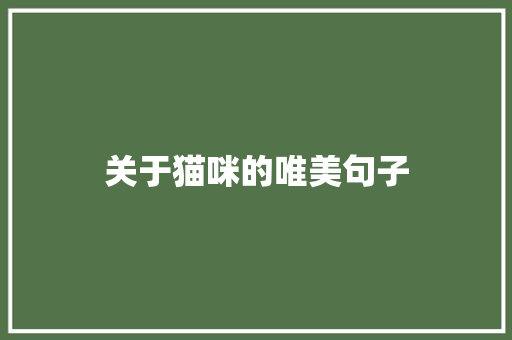关于猫咪的唯美句子