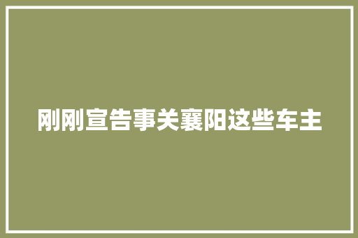 刚刚宣告事关襄阳这些车主