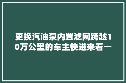 更换汽油泵内置滤网跨越10万公里的车主快进来看一看