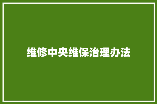 维修中央维保治理办法