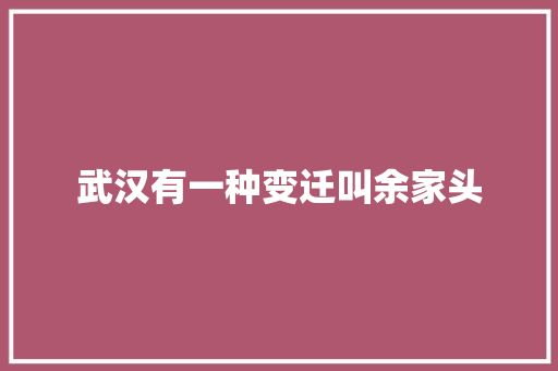 武汉有一种变迁叫余家头