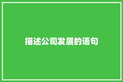 描述公司发展的语句