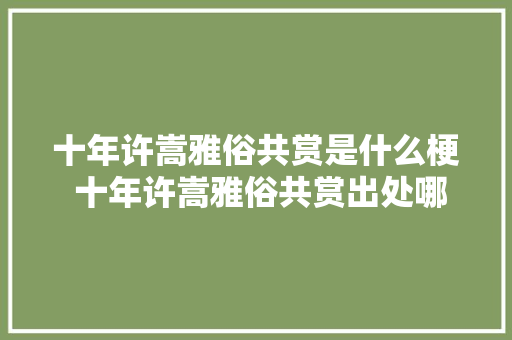 十年许嵩雅俗共赏是什么梗 十年许嵩雅俗共赏出处哪里
