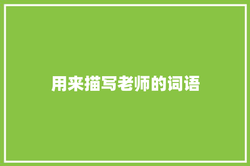 用来描写老师的词语