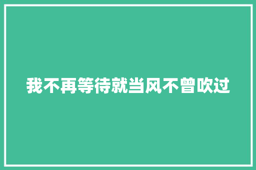 我不再等待就当风不曾吹过
