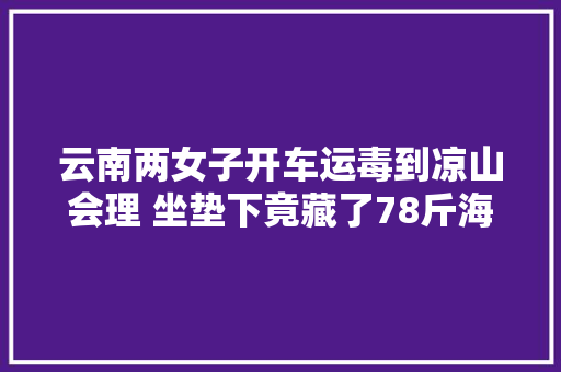 云南两女子开车运毒到凉山会理 坐垫下竟藏了78斤海洛因