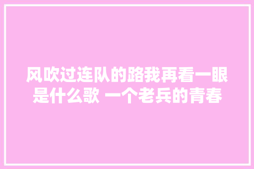 风吹过连队的路我再看一眼是什么歌 一个老兵的青春歌词介绍