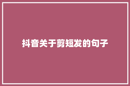 抖音关于剪短发的句子
