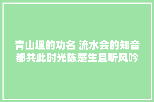 青山埋的功名 流水会的知音都共此时光陈楚生且听风吟