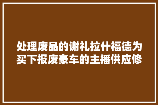 处理废品的谢礼拉什福德为买下报废豪车的主播供应修复零件