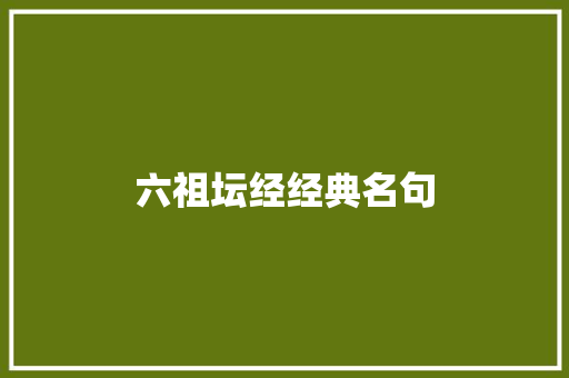 六祖坛经经典名句