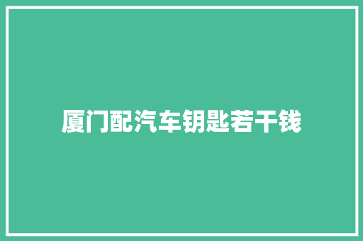 厦门配汽车钥匙若干钱