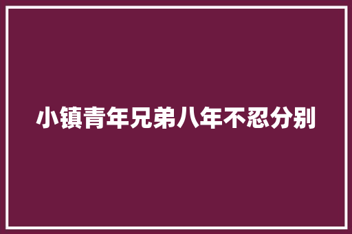 小镇青年兄弟八年不忍分别