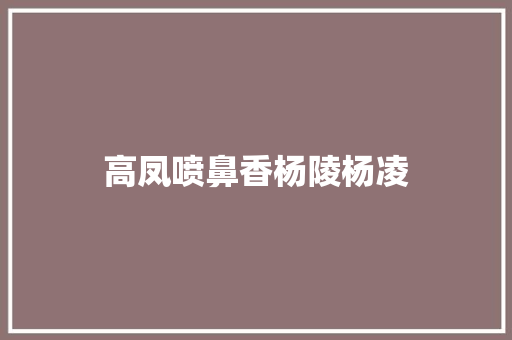 高凤喷鼻香杨陵杨凌
