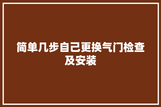 简单几步自己更换气门检查及安装