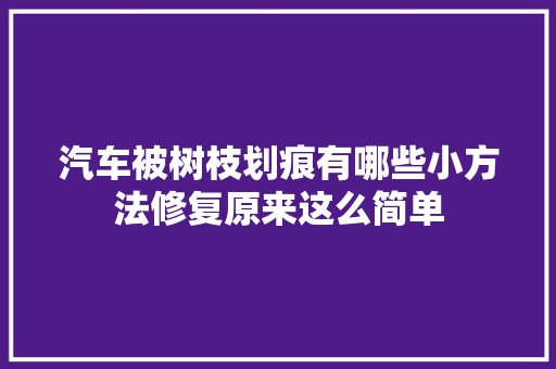 汽车被树枝划痕有哪些小方法修复原来这么简单
