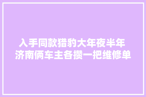 入手同款猎豹大年夜半年 济南俩车主各攒一把维修单