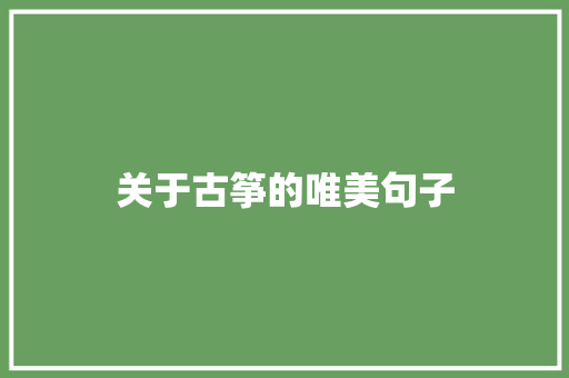 关于古筝的唯美句子