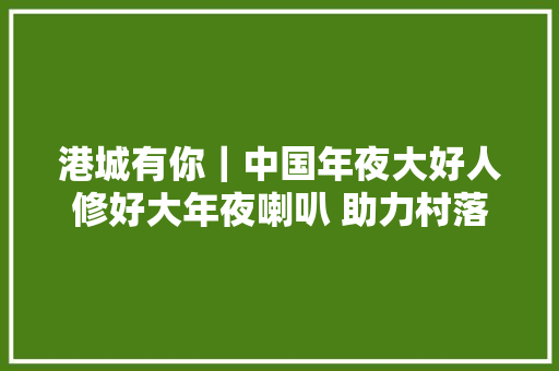 港城有你｜中国年夜大好人修好大年夜喇叭 助力村落战疫
