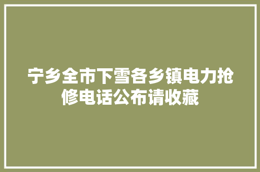 宁乡全市下雪各乡镇电力抢修电话公布请收藏