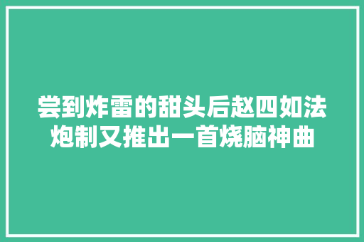 尝到炸雷的甜头后赵四如法炮制又推出一首烧脑神曲