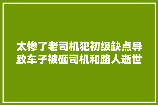 太惨了老司机犯初级缺点导致车子被砸司机和路人逝世活不明