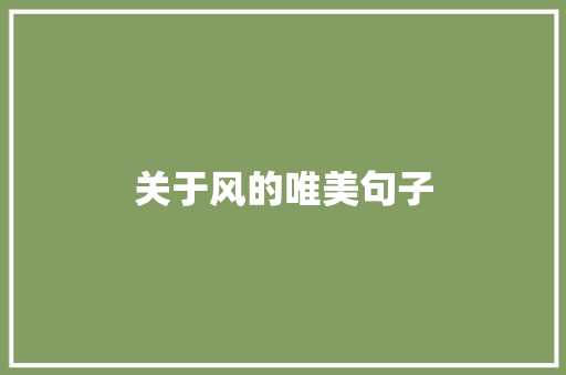 关于风的唯美句子