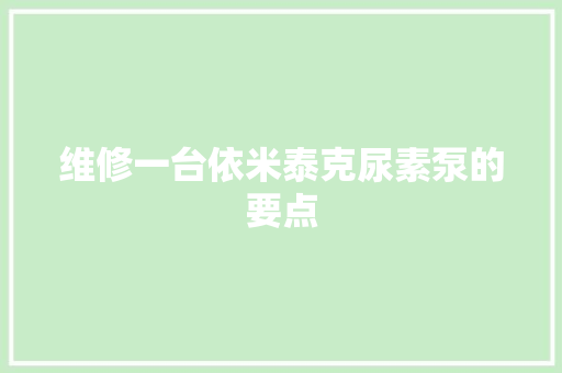维修一台依米泰克尿素泵的要点