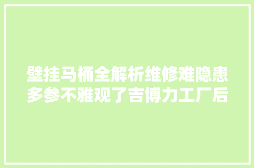 壁挂马桶全解析维修难隐患多参不雅观了吉博力工厂后牵挂全无