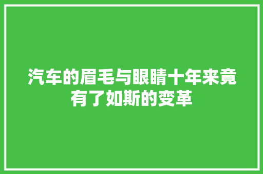 汽车的眉毛与眼睛十年来竟有了如斯的变革