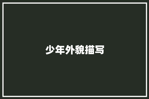 少年外貌描写