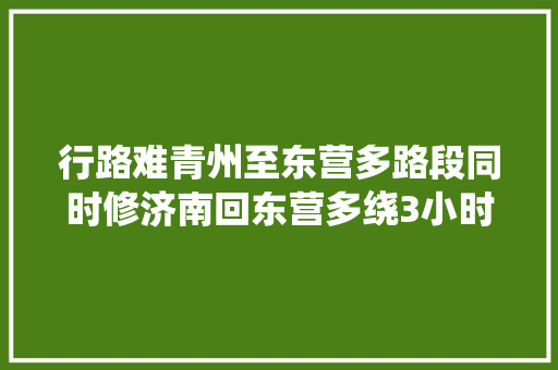 行路难青州至东营多路段同时修济南回东营多绕3小时才到